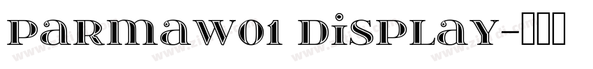 ParmaW01 Display字体转换